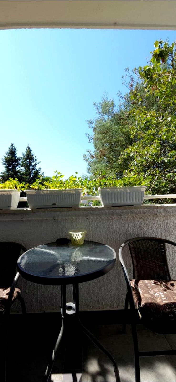 Diana Apartment Porec Exterior photo
